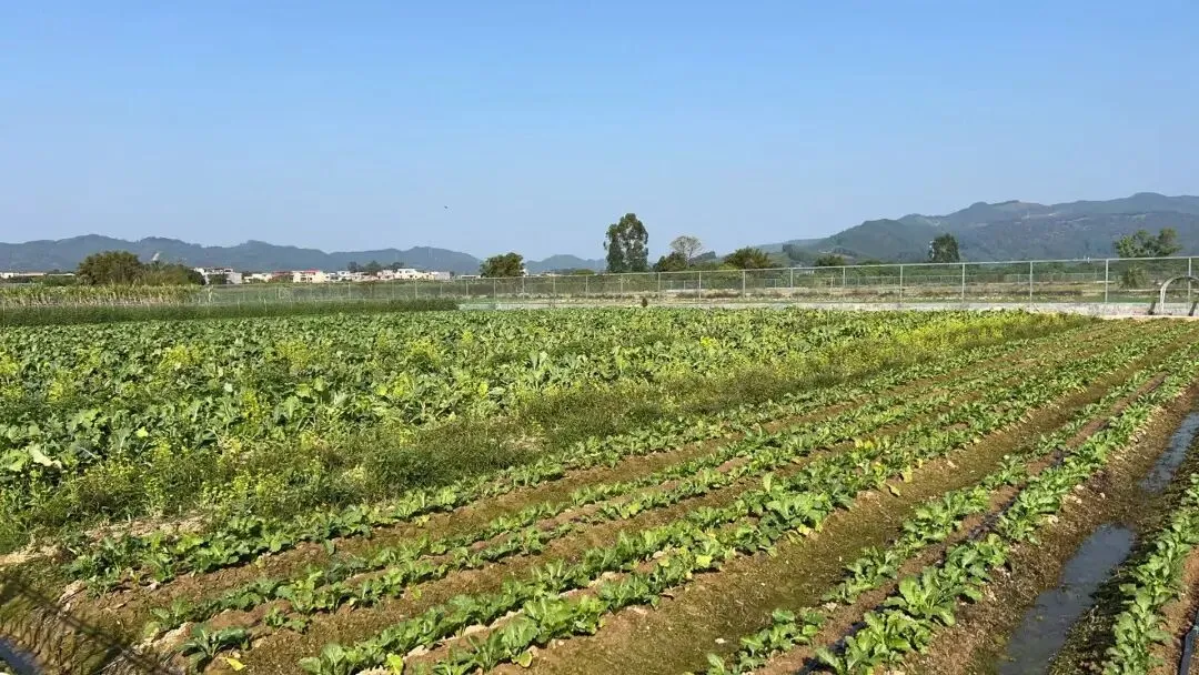 中考分流,乡镇骨干教师的子女也去读技校了,这才是农村教育最痛的真相 第3张