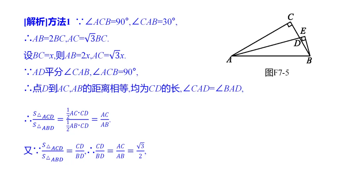 2026中考思想方法专题(七)角平分线训练 第12张