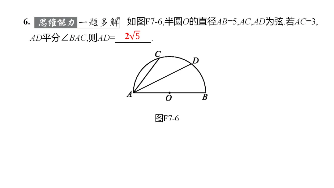 2026中考思想方法专题(七)角平分线训练 第15张