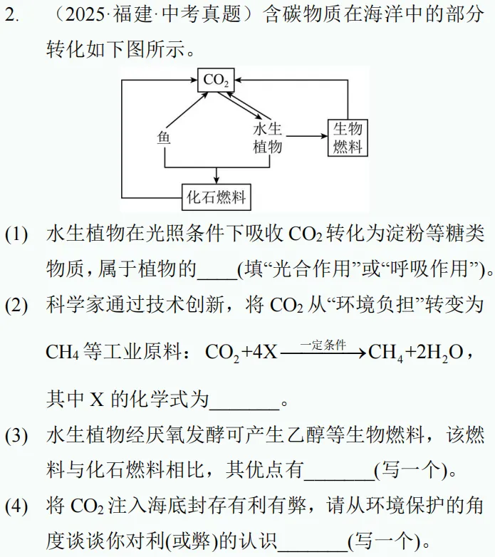 中考新题型练习19 第15张