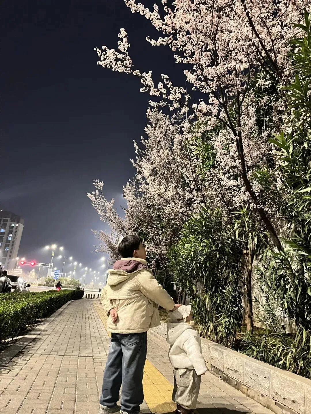 2025年中考英语真题实战演练 第2张