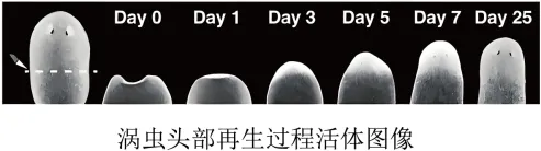 【优质真题】2025浙江语文中考真题带答案 第5张