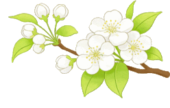 深耕课堂促提升 精准教研助中考——肇庆市义务教育2025-2026学年第二学期初中道德与法治学科大教研活动 第39张 深耕课堂促提升 精准教研助中考——肇庆市义务教育2025-2026学年第二学期初中道德与法治学科大教研活动 第39张