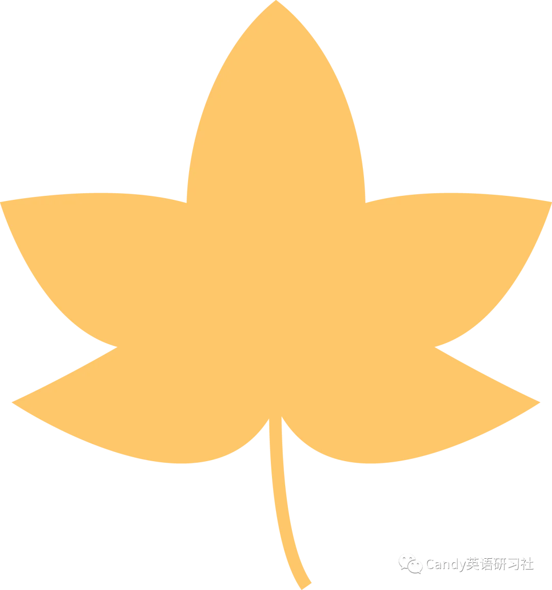 【免费分享】中考英语语法16大专项复习,知识背诵默写配真题练,学完考场指哪打哪! 第8张 【免费分享】中考英语语法16大专项复习,知识背诵默写配真题练,学完考场指哪打哪! 第8张