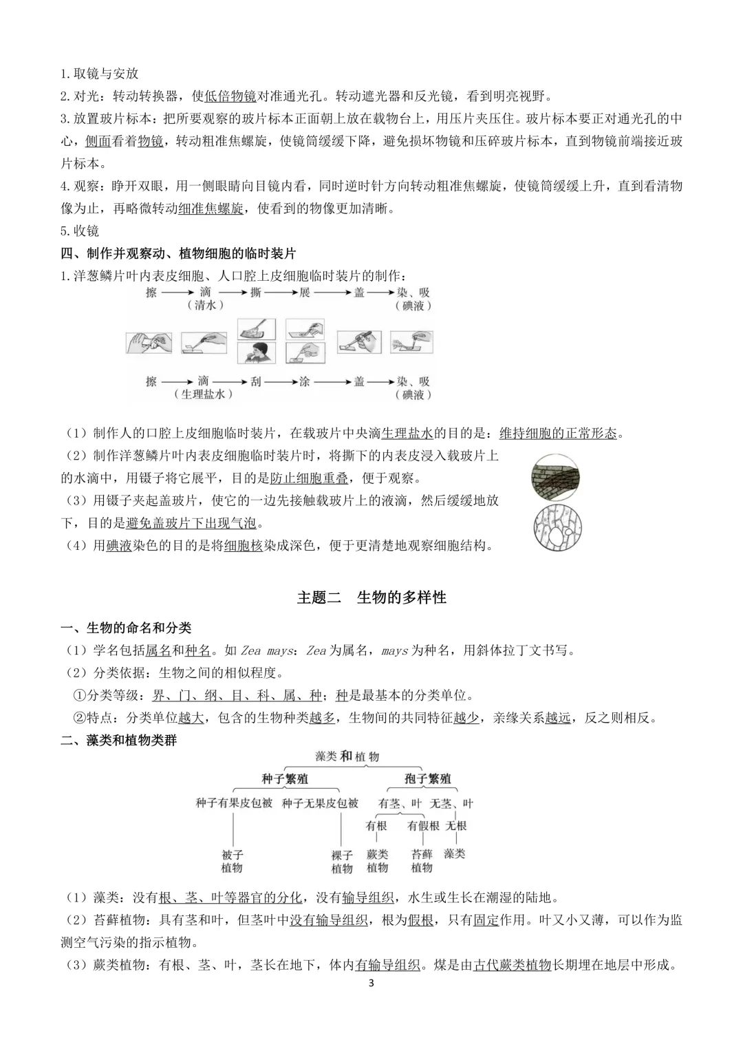 2026生物小中考复习提纲 第3张
