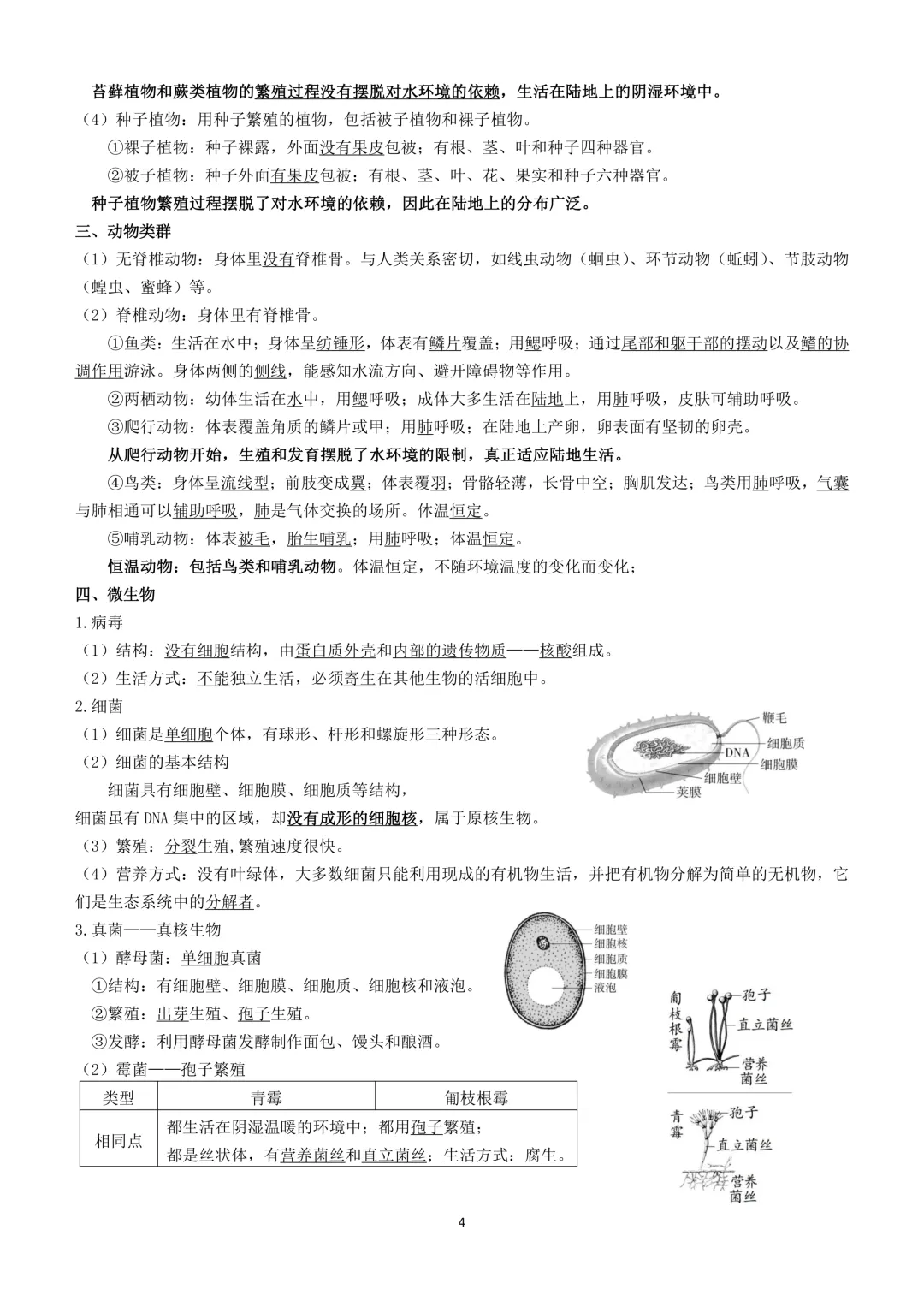 2026生物小中考复习提纲 第4张