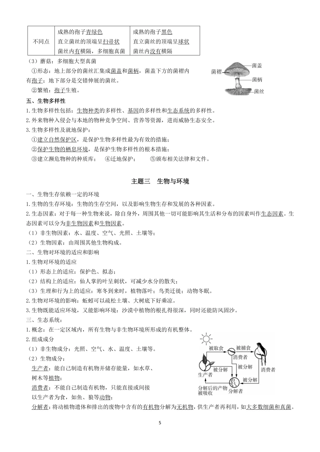 2026生物小中考复习提纲 第5张