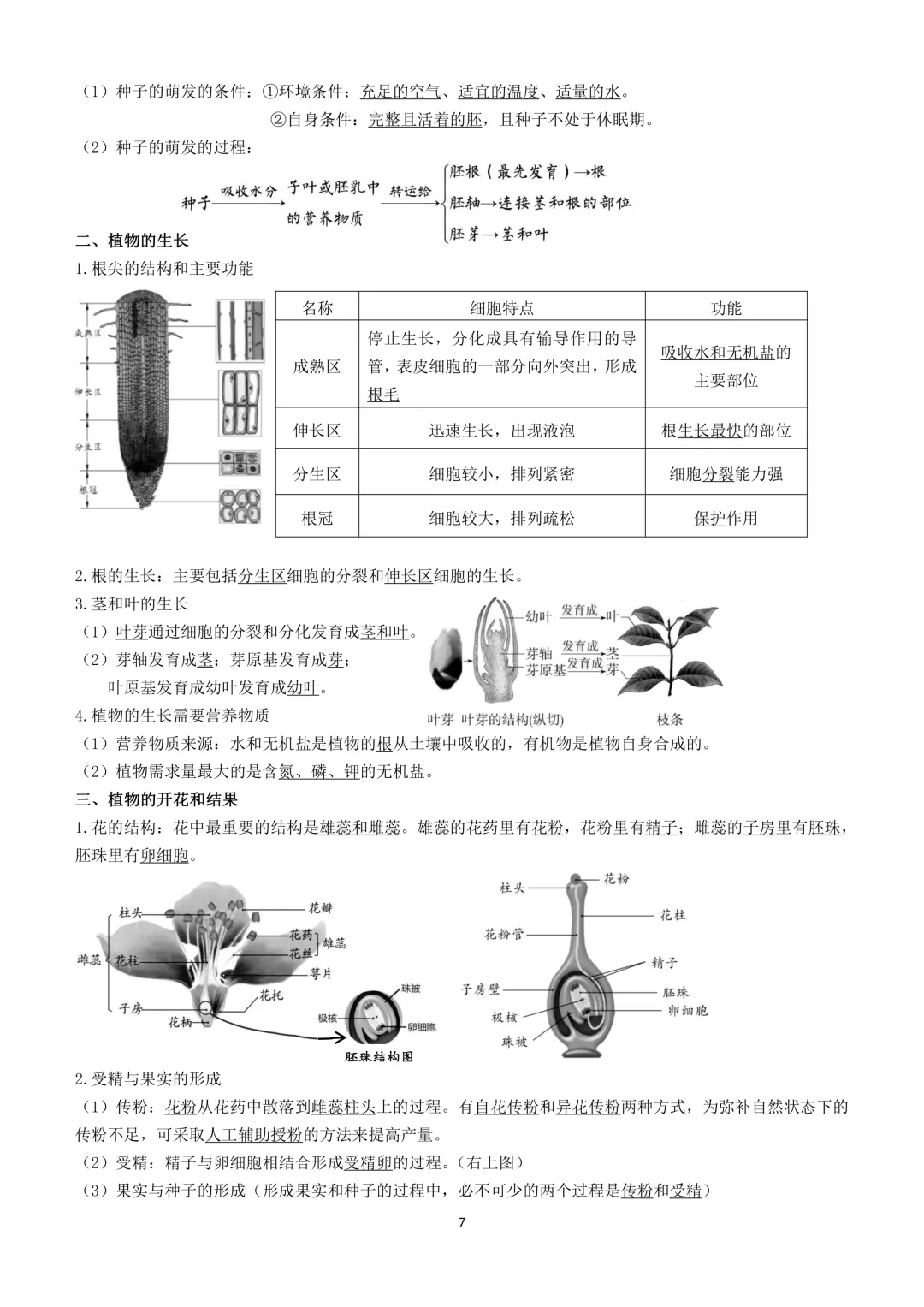 2026生物小中考复习提纲 第7张