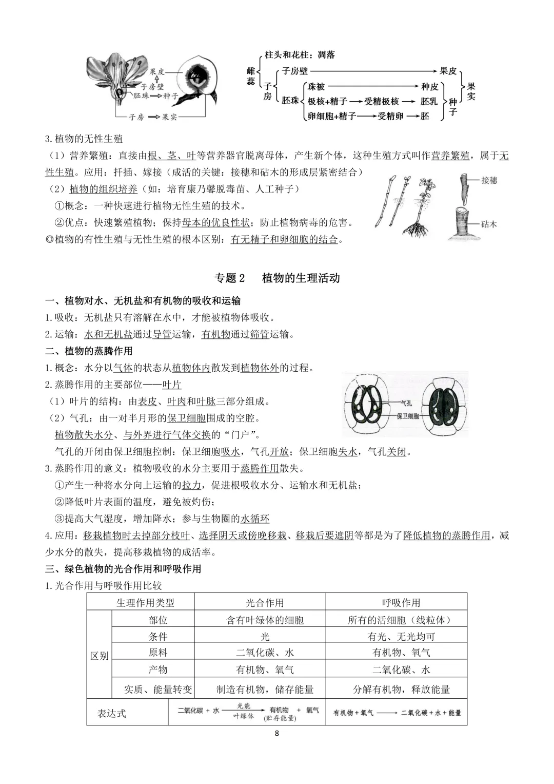 2026生物小中考复习提纲 第8张
