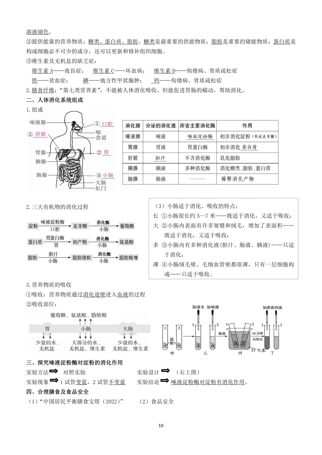 2026生物小中考复习提纲 第10张