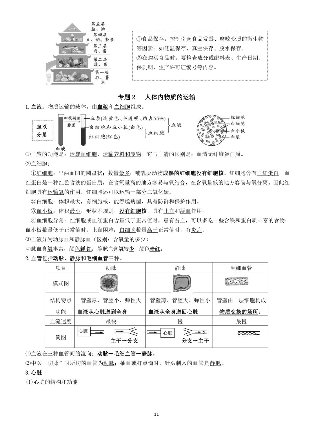 2026生物小中考复习提纲 第11张