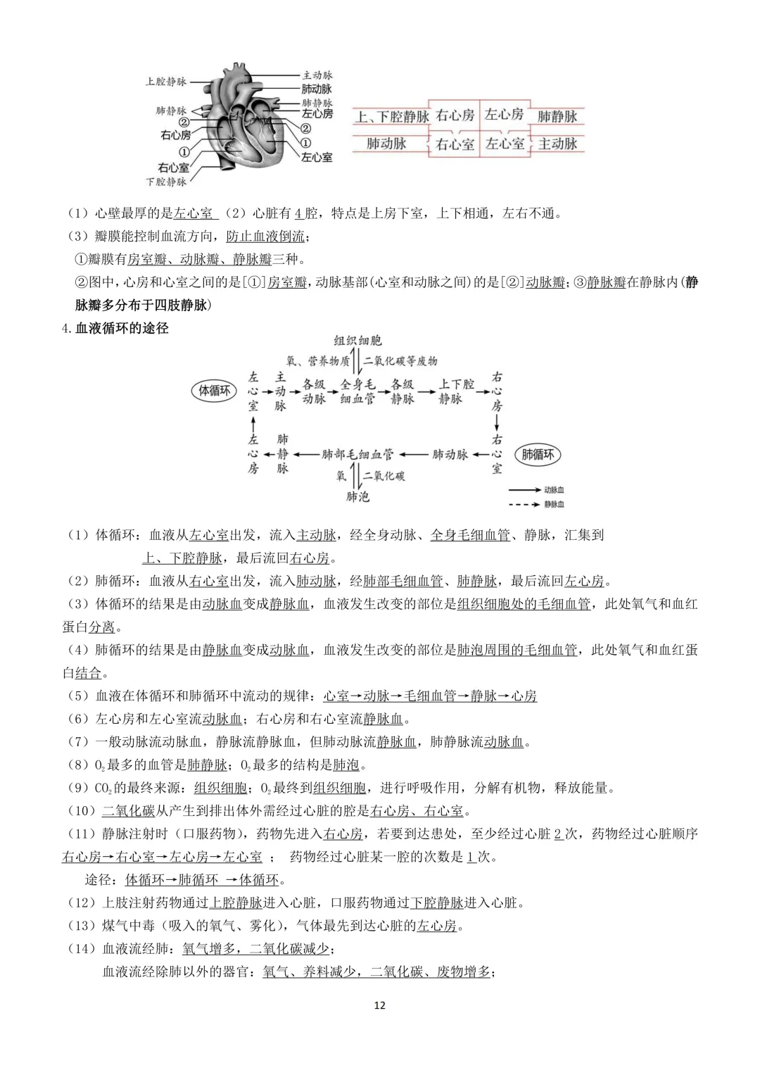 2026生物小中考复习提纲 第12张