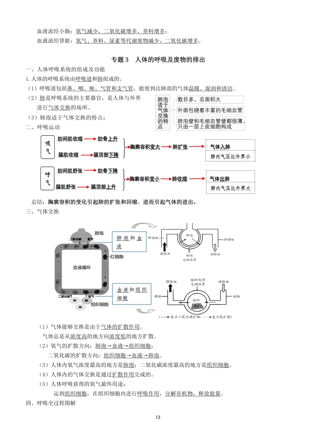 2026生物小中考复习提纲 第13张