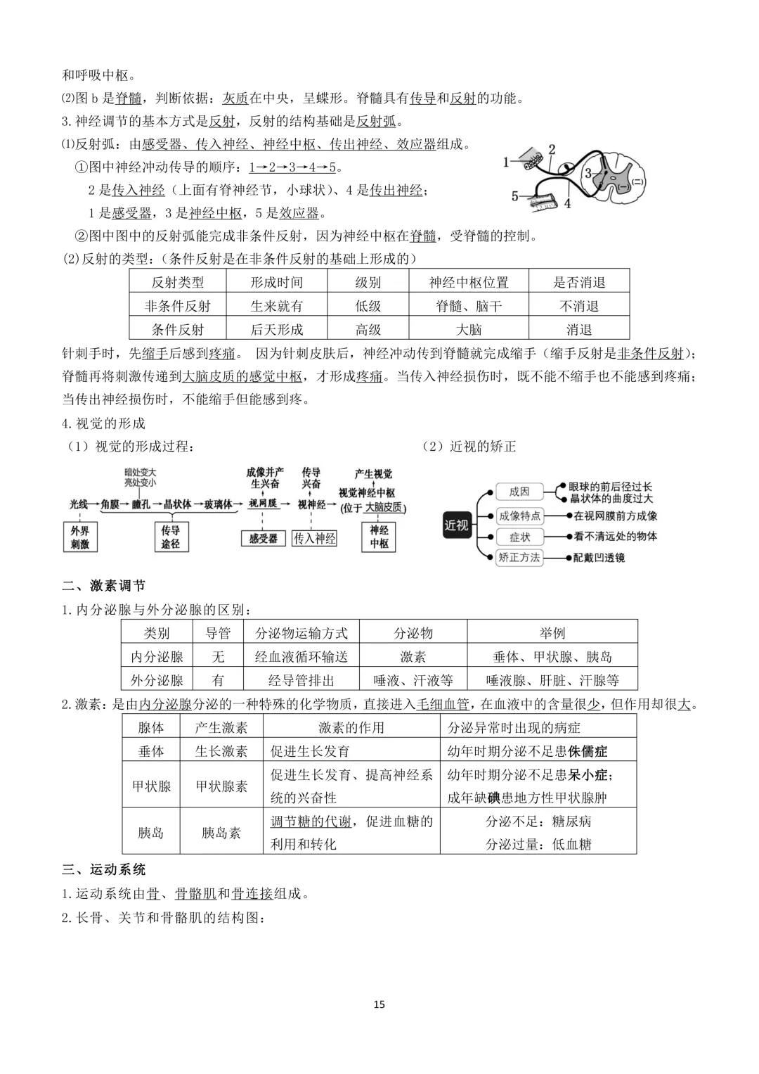 2026生物小中考复习提纲 第15张