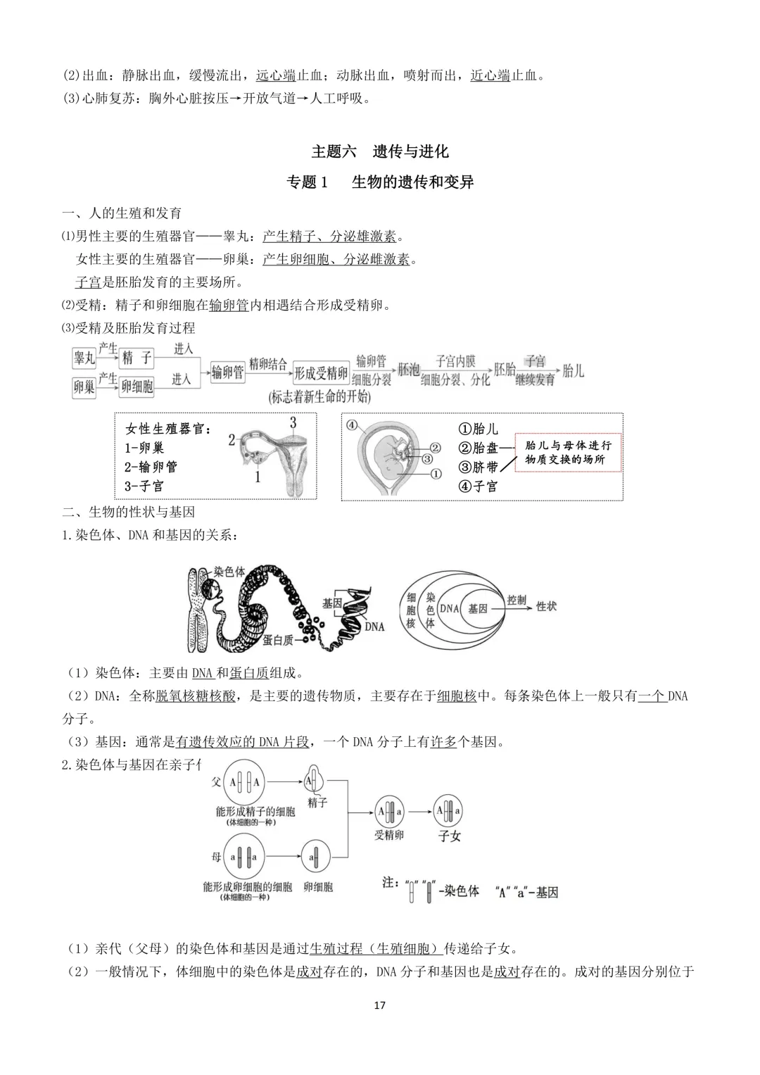 2026生物小中考复习提纲 第17张