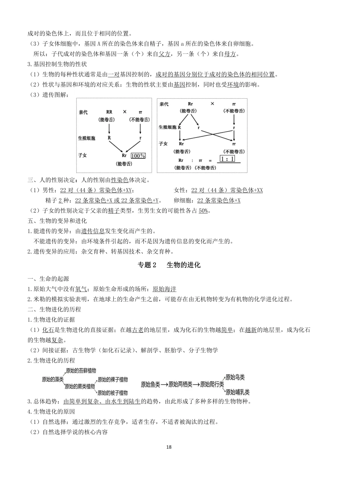 2026生物小中考复习提纲 第18张