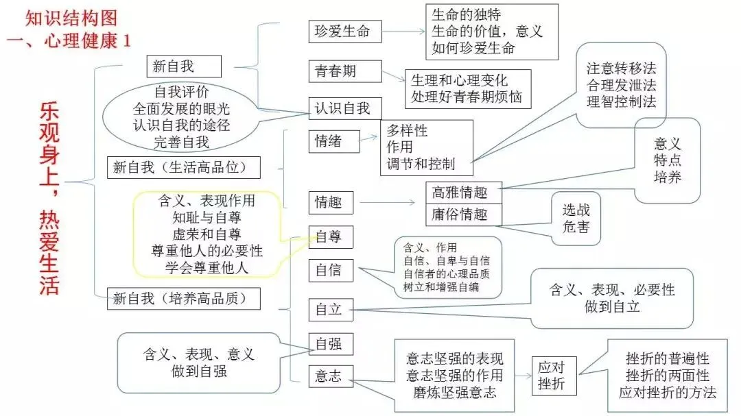 中考道德与法治核心知识点汇总+思维导图 第3张