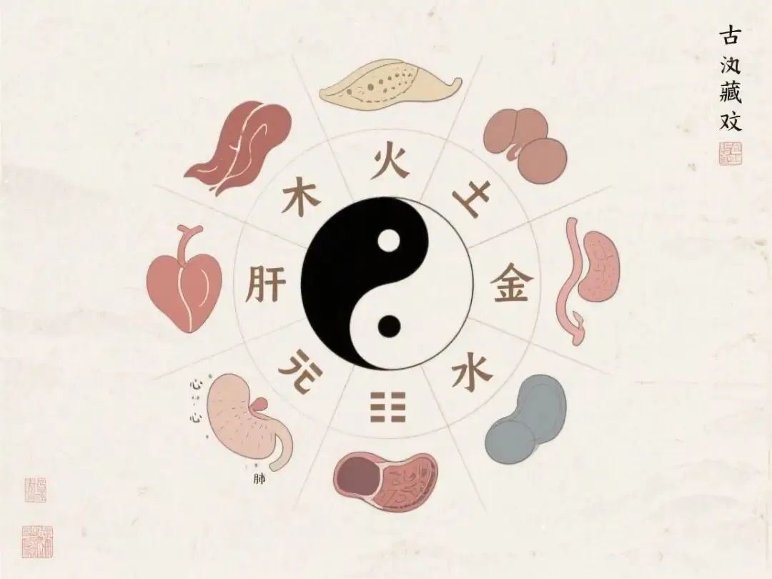 中医师承试卷历年真题汇总 高频考点与答题思路 第2张