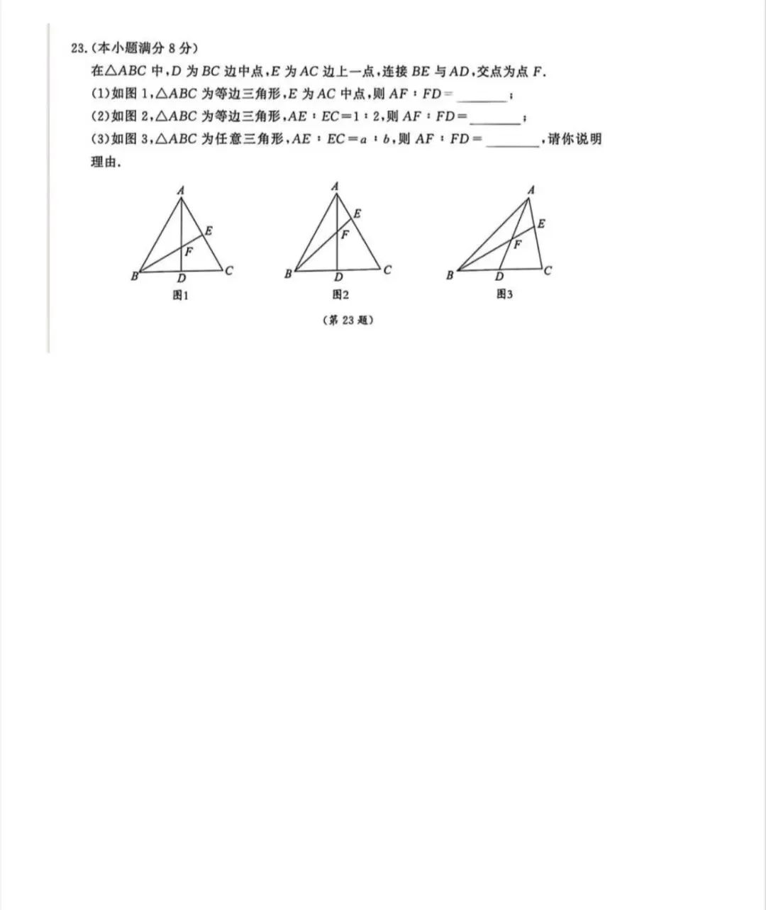 中考数学探究模型—“飞鱼模型” 第6张