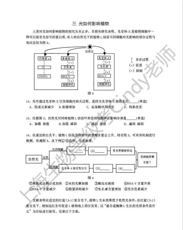 2025年上海市高中生物等级考真题及答案 第5张