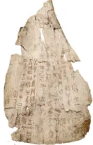 一模真题:2026年中考历史 第一次摸底检测历史试卷03 第11张 一模真题:2026年中考历史 第一次摸底检测历史试卷03 第11张