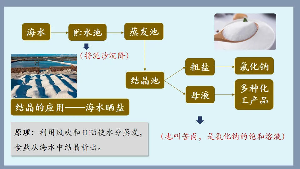 中考化学复习:溶液 第42张