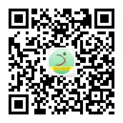 复习研讨促提升 精准助力战中考——集贤县思政一体化名师工作室(初中段)预约式调研暨送教下乡活动圆满落幕 第16张