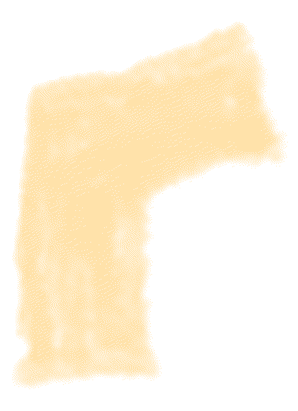 免费观看丨中考作文提分特训营来啦! 第11张