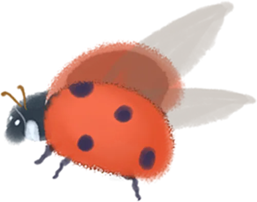 行测每日一练,言语理解与表达真题练习 第8张