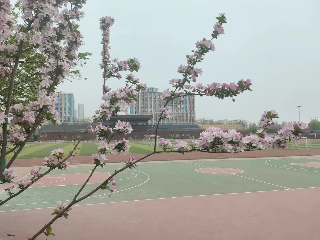 [随笔]操场上“试卷” 第1张