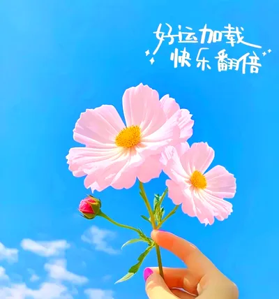 中考作文写作 第1张