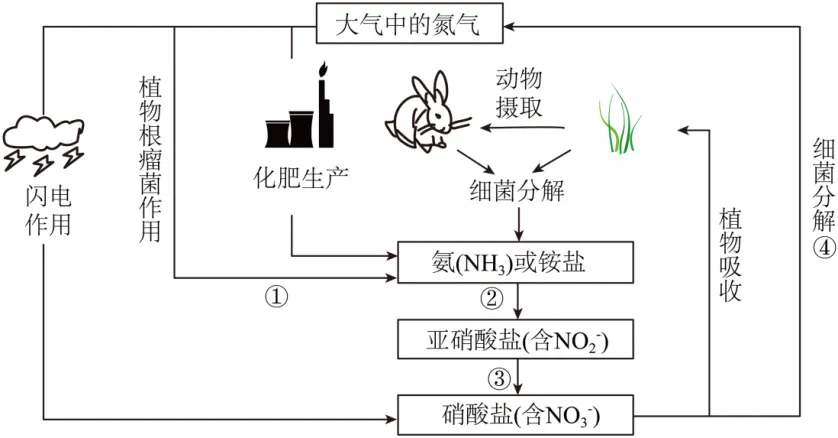 2024年广州中考化学真题(含答案) 第14张