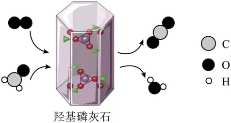 2024年广州中考化学真题(含答案) 第16张