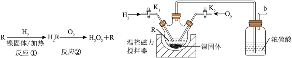 2024年广州中考化学真题(含答案) 第24张