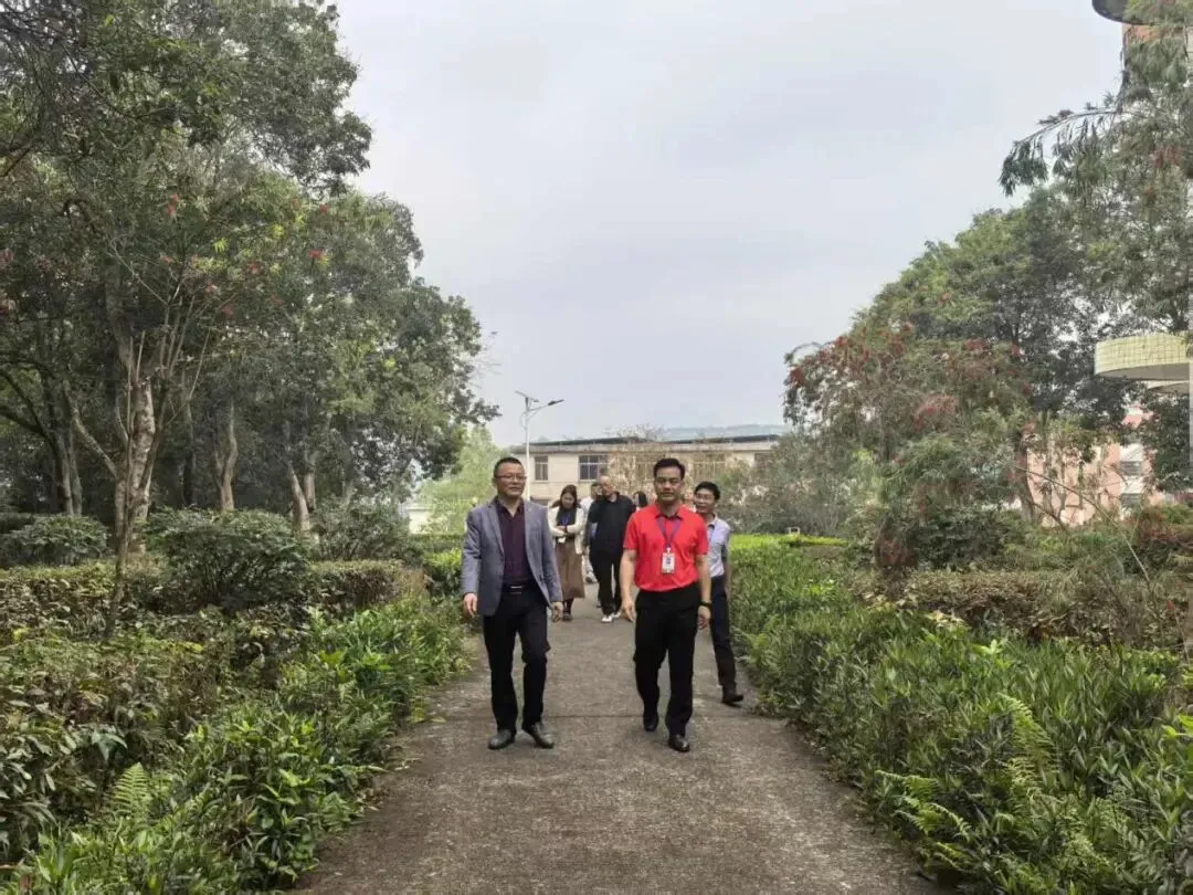 互学互鉴促提升,凝心聚力备中考——丰顺县大同学校赴龙泉中学开展教育教学交流暨备考研讨活动 第2张