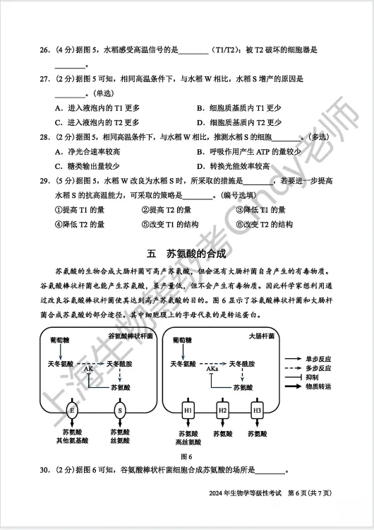 2024年上海市高中生物等级考真题及答案 第6张