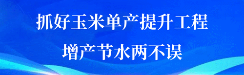 中考开考!少年加油! 第14张