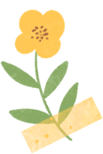 【中考】2026金中零模数学/英语试卷解析 第12张