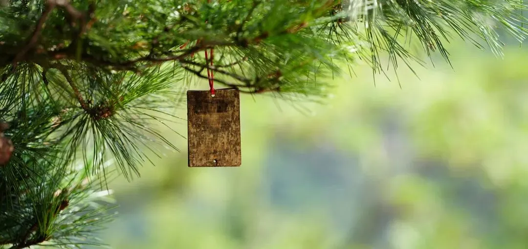 无水印!3月一模真题汇总 第1张 无水印!3月一模真题汇总 第1张