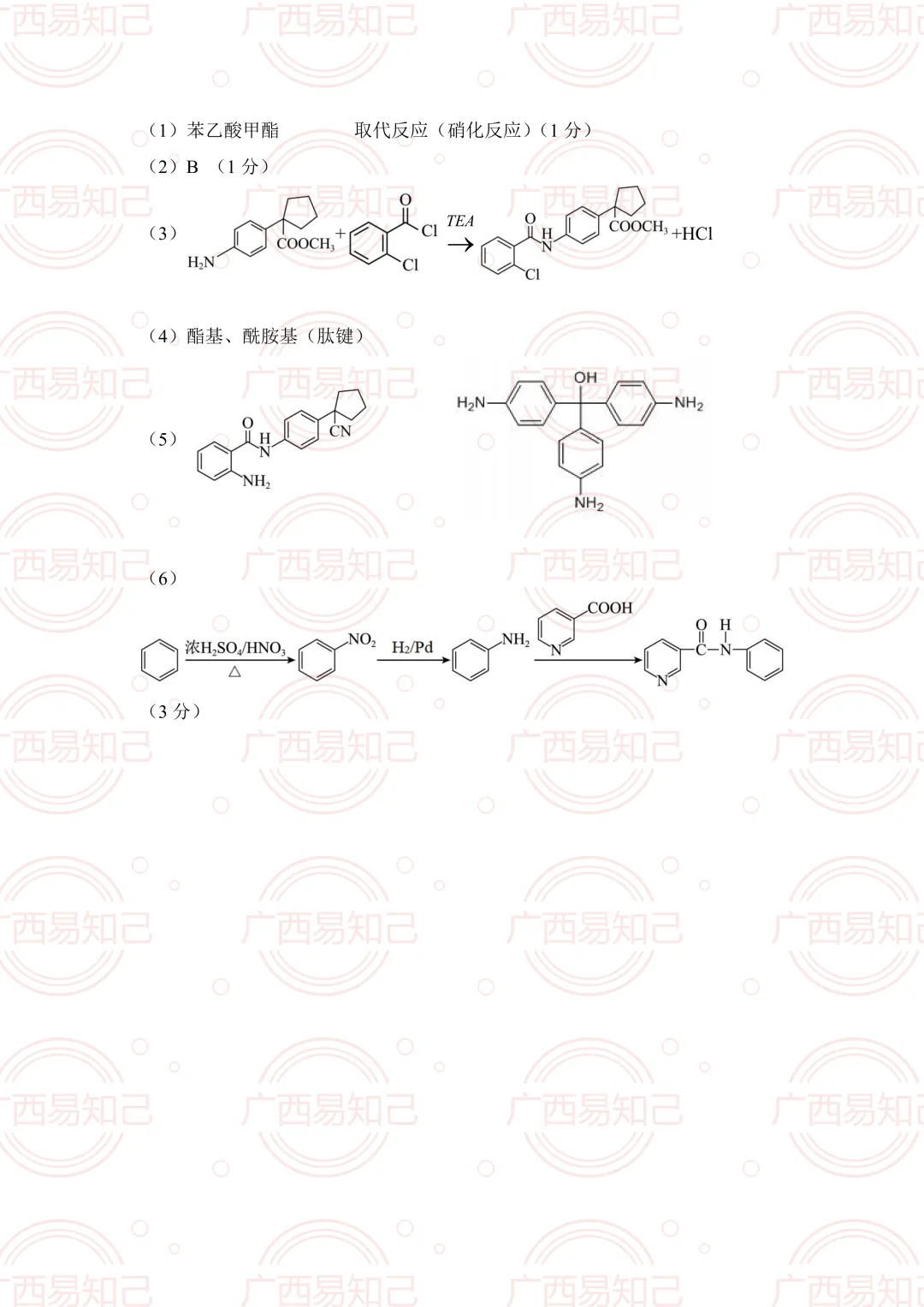柳州三模全科试卷及答案出炉,看看孩子考得怎么样? 第6张 柳州三模全科试卷及答案出炉,看看孩子考得怎么样? 第6张