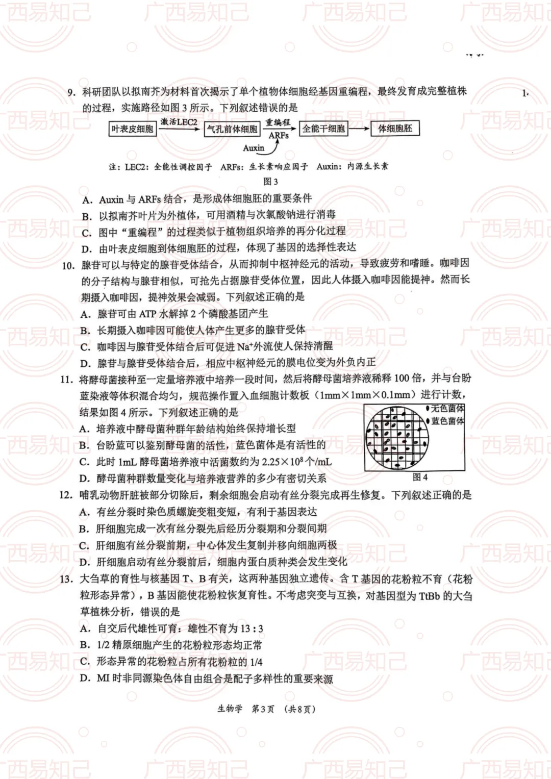 柳州三模全科试卷及答案出炉,看看孩子考得怎么样? 第7张 柳州三模全科试卷及答案出炉,看看孩子考得怎么样? 第7张