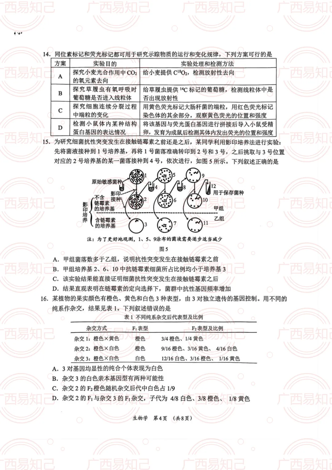 柳州三模全科试卷及答案出炉,看看孩子考得怎么样? 第8张 柳州三模全科试卷及答案出炉,看看孩子考得怎么样? 第8张