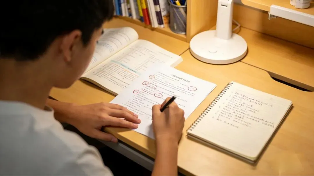 三次模考,中考前最温柔的蓄力 第2张