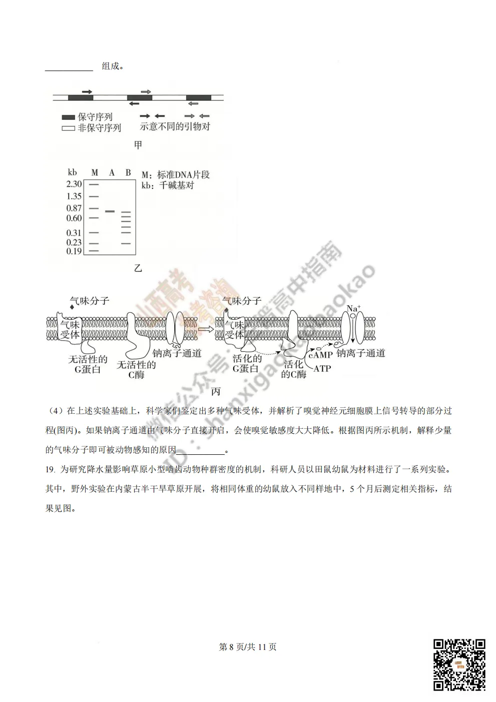 陕西省西安中学2026高三第三次模拟考试全科试题与答案 第142张