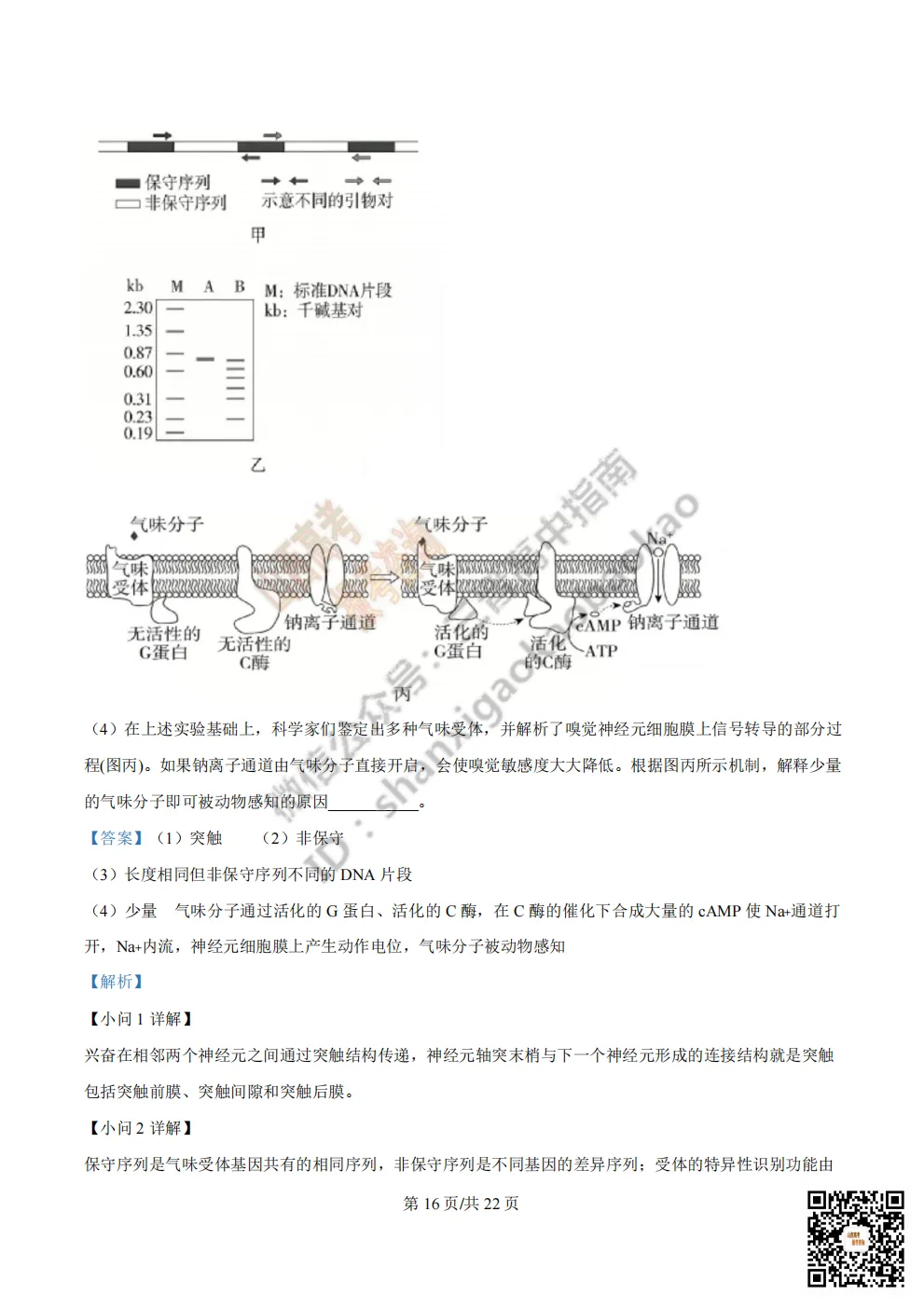 陕西省西安中学2026高三第三次模拟考试全科试题与答案 第161张