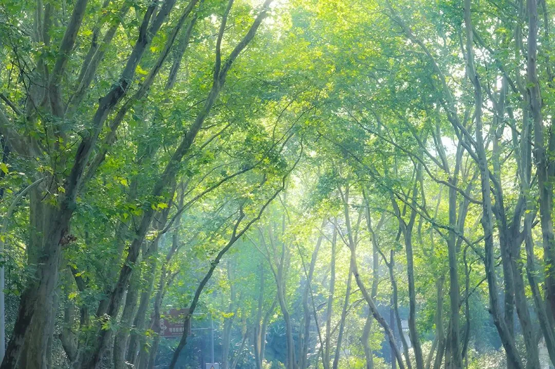 SQL语句学习强关注点-牛客网大厂笔试真题练习 第3张