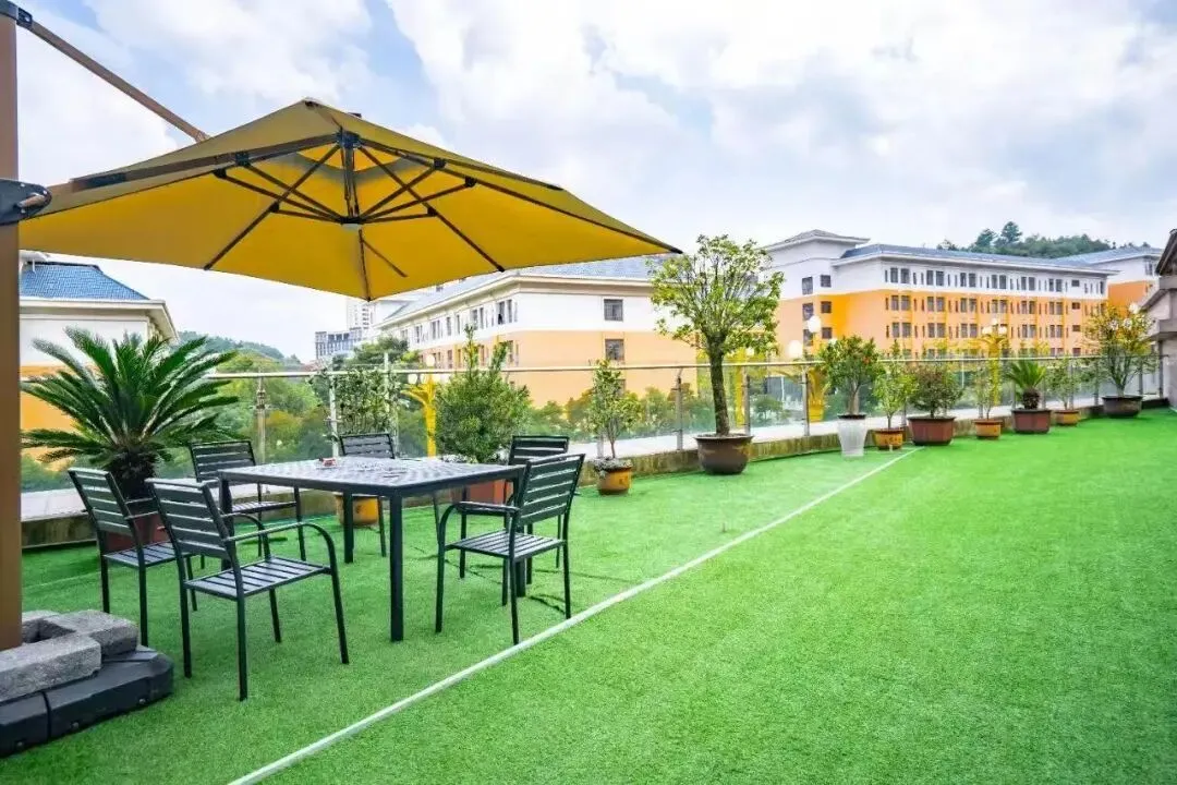 省考成绩可查!免费领面试真题,预约面试课程立减1000元! 第80张