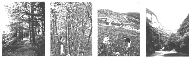 植被专题2025年高考真题 第2张