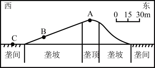 植被专题2025年高考真题 第9张