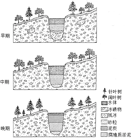 植被专题2025年高考真题 第16张